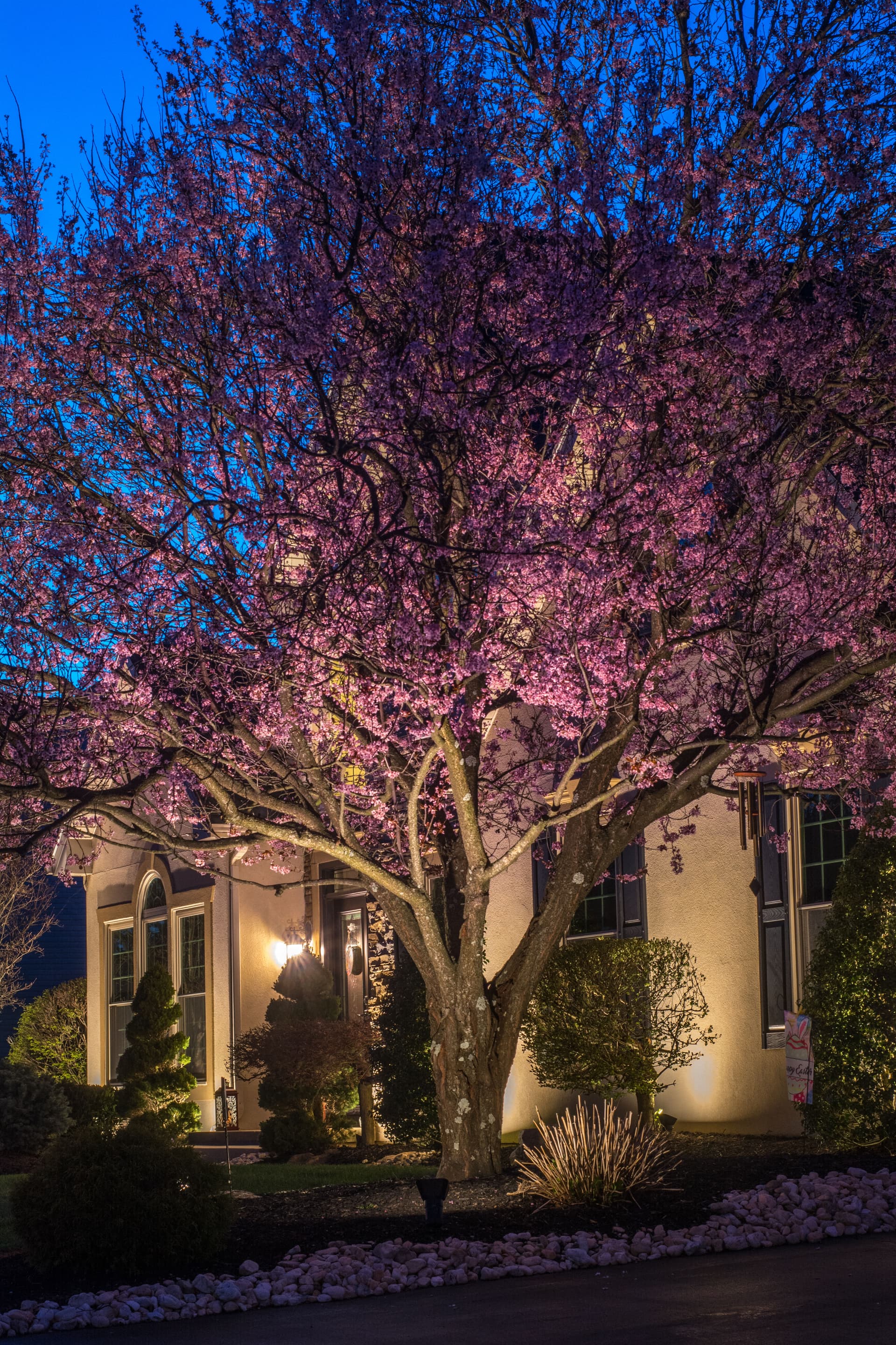 Transforming an Allentown Home with Elegant Landscape Lighting