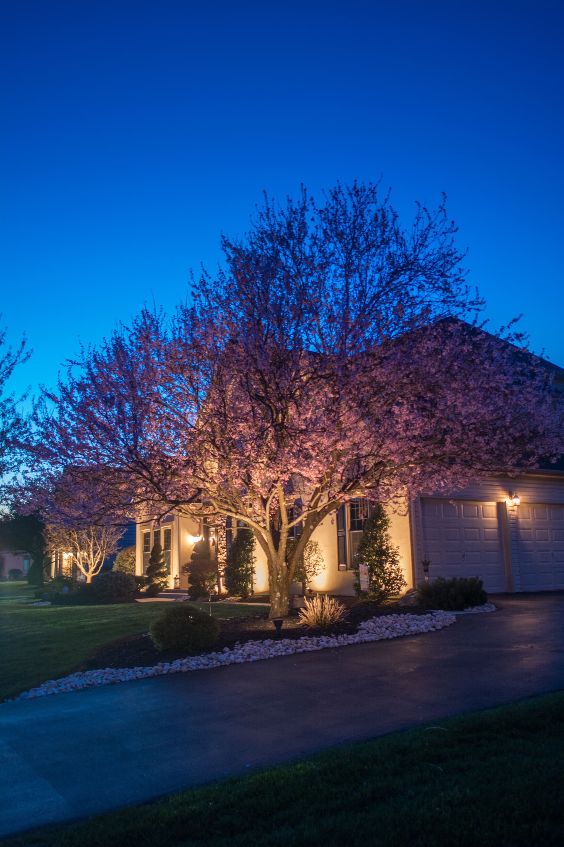 Transforming an Allentown Home with Elegant Landscape Lighting