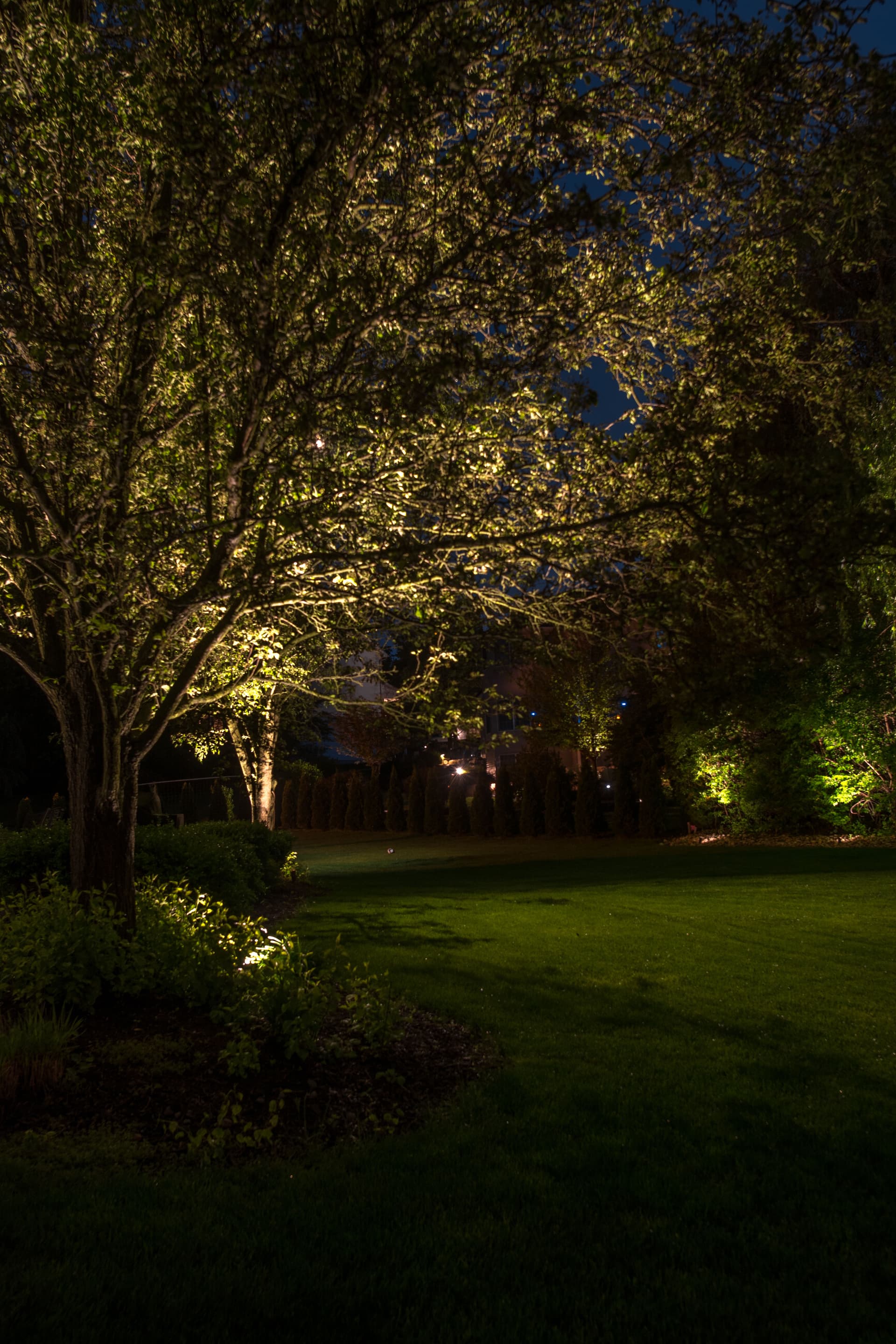 Gallery photos for Elegant Outdoor Lighting Transformation in Easton PA: Image #7