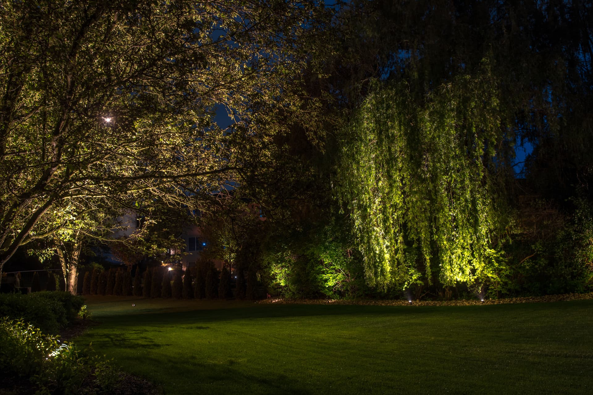 Gallery photos for Elegant Outdoor Lighting Transformation in Easton PA: Image #6