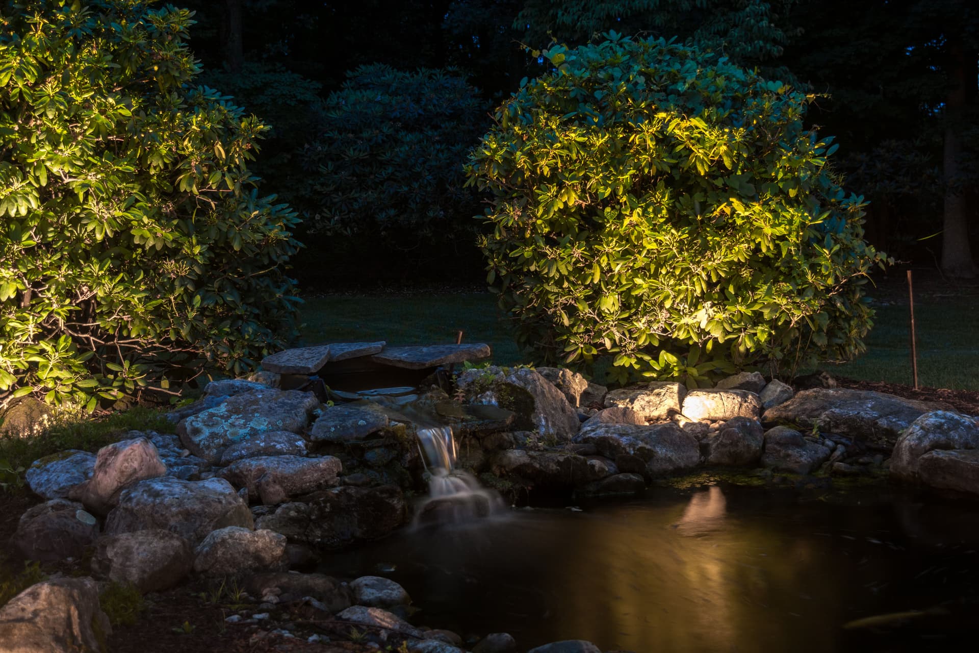 Transform Your Yard with Expert Landscape Lighting image