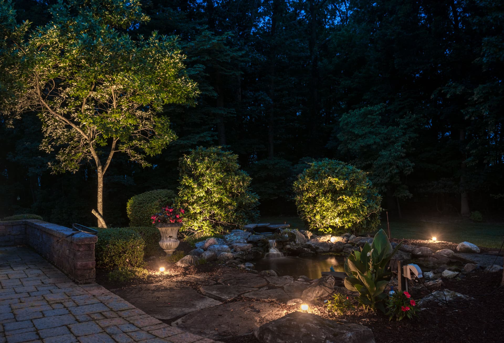 Gallery photos for Transform Your Yard with Expert Landscape Lighting: Image #1